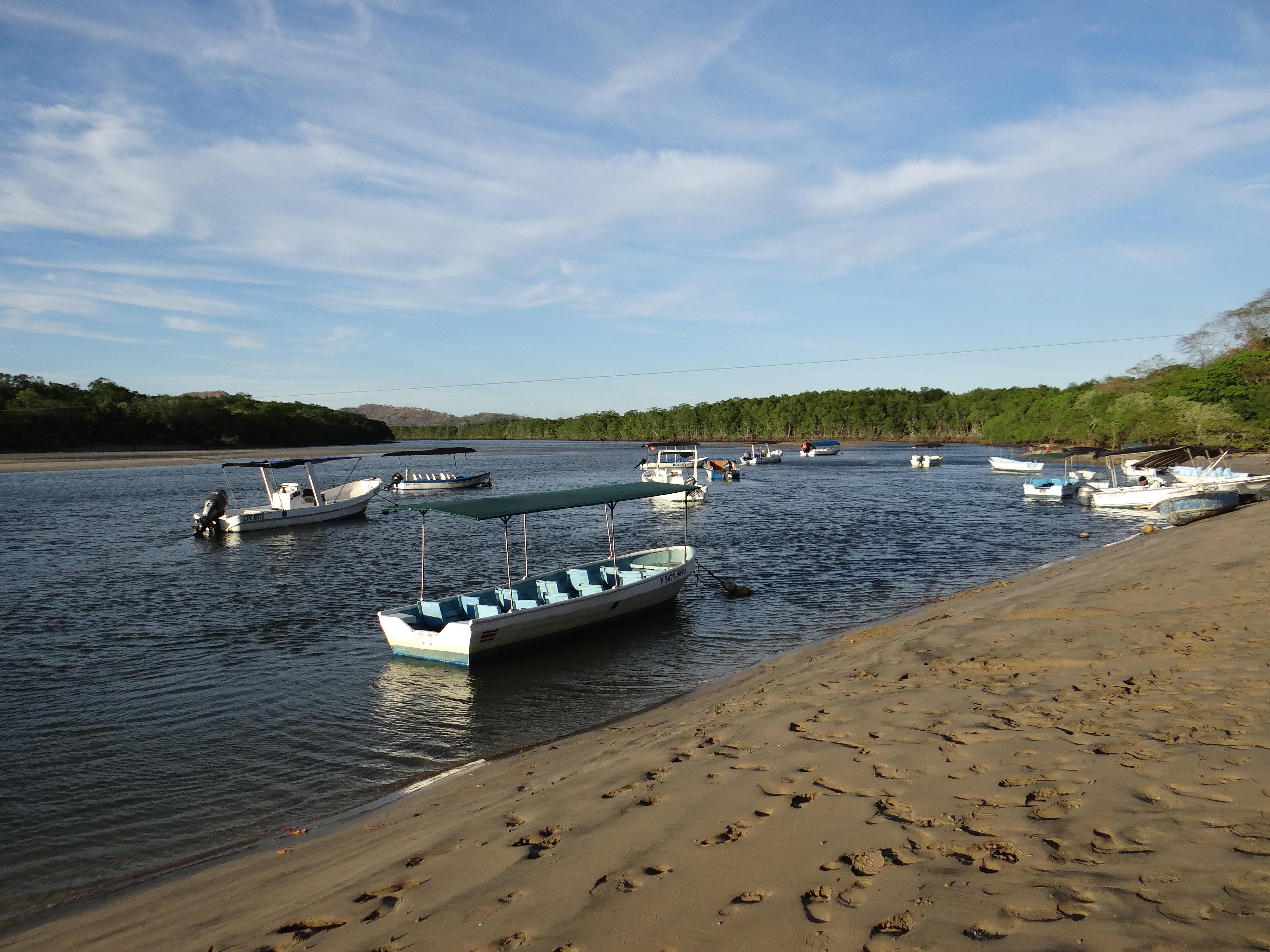 costa rica, tamarindo, parc national baulas, barquettes, estuaire, tour, faune et flore